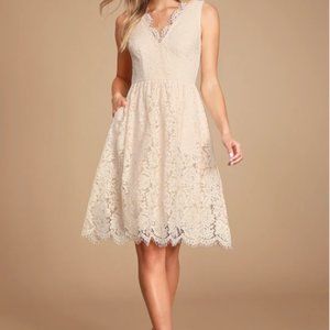 Love Swept Blush Pink Lace Midi Skater Dress